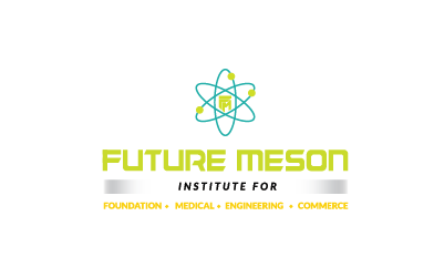 Future Meson